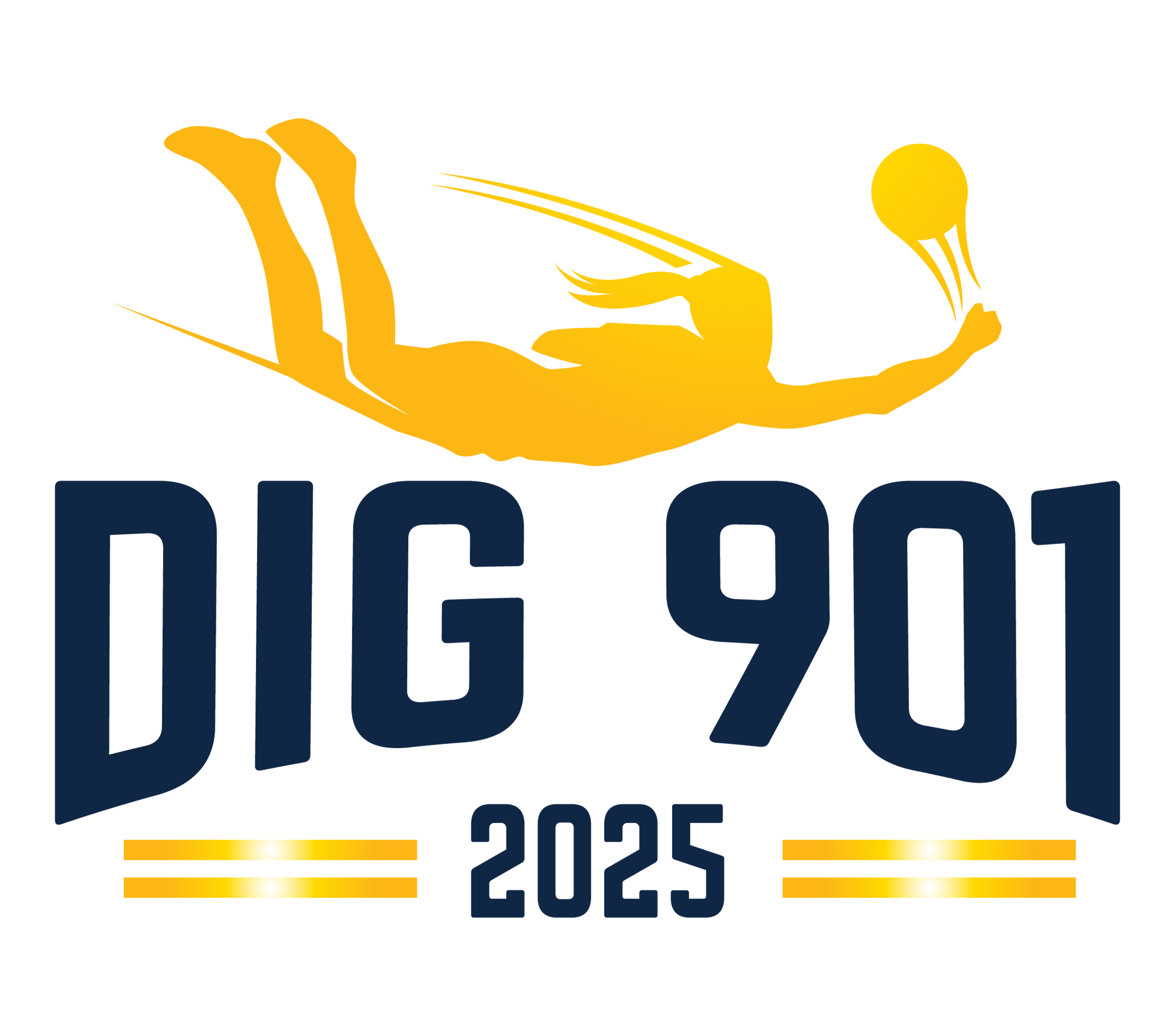 2025 Dig 901
