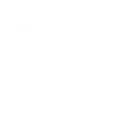 Colorado Crossroads 2026 - bear white Collection