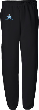 Sweatpants - 2026 Sparkle & Shine Trinity (OH)