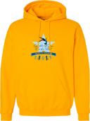 Hoodies - 2026 Sparkle & Shine Trinity (OH)