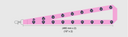 Lanyard - Fall Continental Cup 2026