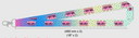 Lanyard - Girls Summer Slam 2026 (Pink)