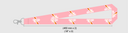 Lanyard - NXT Grand Prix Summer 2026