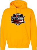 Hoodies - September to Remember 2026 (Primary)