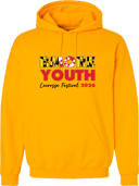 Hoodies - Baltimore Youth Lax Festival 2026 - 3