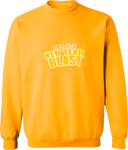 Crew Sweatshirt - Academy New Year Blast 2027 (Light)
