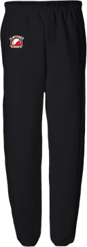 Sweatpants - Virginia State Little League Baseball Tournament 2026