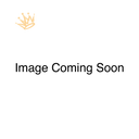 Crew Sweatshirt - Calling All Queens Invitational with Chae Campbell 2027 (Gold Crown)