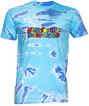 Tie-Dye Short Sleeves - Play For The Future 2026 (Wordmark)