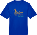 Performance Short Sleeves - Precious Treasures Invitational with Jade Carey (WI) 2027 (Gold)