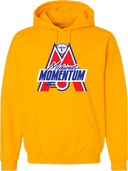 Hoodies - Midwest Momentum 2026