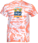 Tie-Dye Short Sleeves - Academy Spring Break Challenge 2026